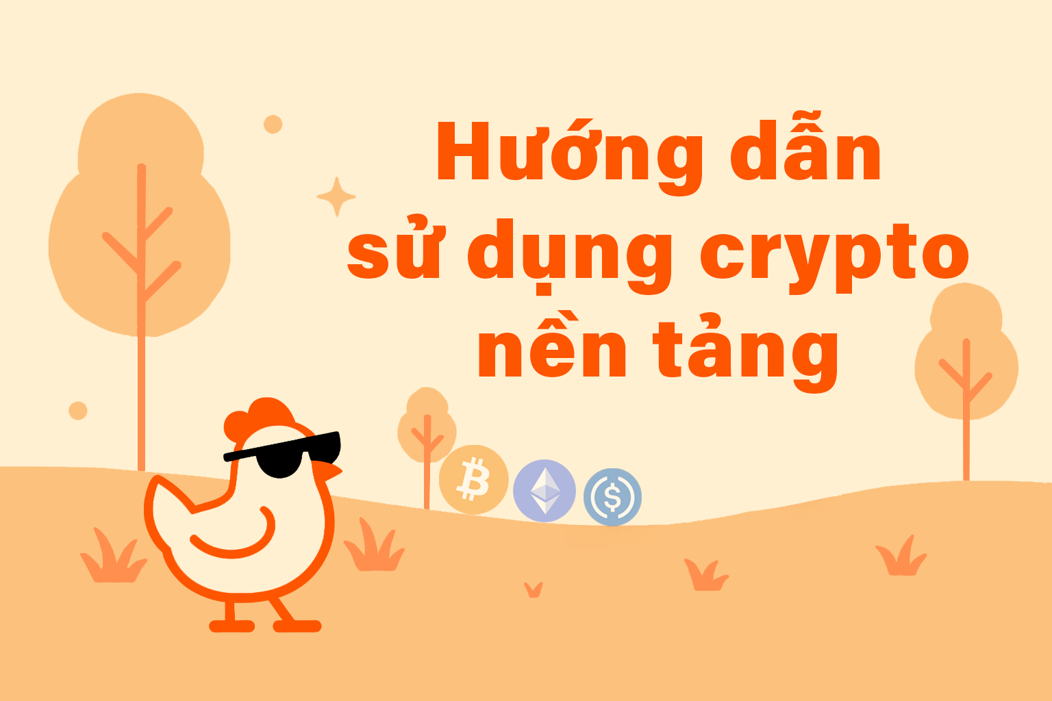 Hướng dẫn sử dụng crypto nền tảng